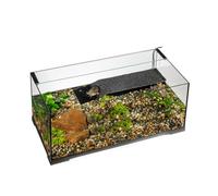 Terrario de Tortugas Acuáticas Exo Terra Turtle Haven - 90 x 45 x 37 cm