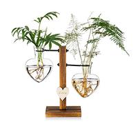 Terrario De Vidrio para Plantas con Soporte De Madera, Jarrones Hidropónicos De Vidrio De Doble Corazón Creativo, Estación De Propagación para Plantas Modernas