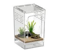 Terrario para Araña Saltadora Transparencia Total Transpirable y Cómodo