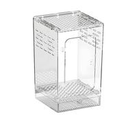 Terrario para Araña Saltadora Transparencia Total Transpirable y Cómodo