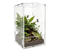 Terrario Para Araña Saltarina Hábitat Acrílico Tarántulas