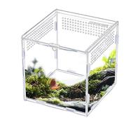 Terrario para Araña Saltarina - Hábitat Transparente de Acrílico,Terrario para Gecko | para Reptiles Pequeños, Arácnidos, Lagartos, Serpientes, Ranas, Cría