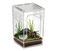Terrario para Araña Saltosa,Transparente Ventilación Cómodo Acrílico - Hábitat para Pequeño Reptil Manante Rana | para Pequeñas Tortugas Caracol Ranas Serpientes Bernards-l'Ermitaño