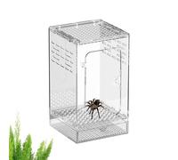 Terrario para arañas | Terrario De Arañas Acrílico Ventilado - Cría Transparente para Mantes Religiosas | para Lagarto, Gecko, Manta, Escorpión, Escorpio, Tortuga,