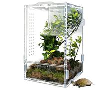 Terrario para Gecko Crestado 11,9 x 11,9 x 20,1 cm Acrílico Transparente