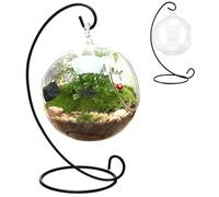 Terrario para plantas de aire, con soporte de hierro negro, terrarios de vidrio transparente para plantas, divertido kit de terrario para plantas de aire, para plantas de aire, plantas pequeñas sucule