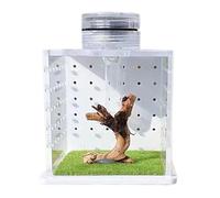 Terrario para Reptiles - Rana Araña Saltadora Transparente, Recinto, Cría de Hábitat de Mantis Pequeña, con Humidificador de Luz | Vivienda arbórea de acrílico para el Tanque de la araña de los i