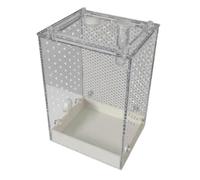 Terrario para Saltiques - Vivarium Transparente para escarabajos, Caja de reproducción Desmontable para arañas para cucarachas, escarabajos, Escorpiones, casa, Zoo, Interior y