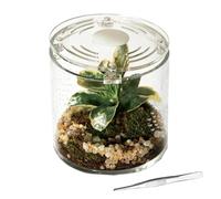 Terrario para tarántulas 10 x 10 x 10 cm Pequeño Cilíndrico Transparente | Recinto criador de arañas para caracoles, tarántulas, mantis religiosas, ranas, anfibios y cangrejos ermitaños