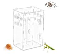 Terrarium für Springspinnen - Durchsichtige Kletterzone | Zubehör für Spinnen, Reptilien, Gecko, Einsiedlerkrebs, Fische, Schildkröten | Mini Zoo Habitat für Zuhause