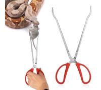 Terrarium Tools - Tongos de alimentación de acero inoxidable extra largos, pinzas de precisión antideslizantes para reptiles y serpientes, tweezers de plantas profesionales | For Large Tanks