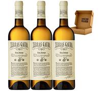 Terras Gauda Albariño - Envío 24 H - Rías Baixas - Vino Blanco - Seleccionado Cosecha Privada (3 x Botella 75 cl, Terras Gauda)