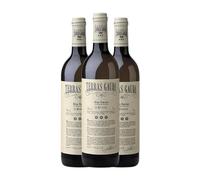 Terras Gauda o'Rosal Blanco Albariño Rías Baixas 75 cl Vino blanco (Caja de 3 Botellas de 75 cl)