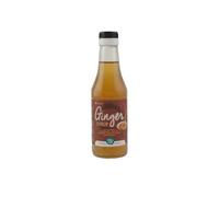 Terrasana Sirope De Jengibre 250 Ml