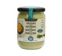 Terrasana Super Hierba Cebada Polvo Bio 130 g