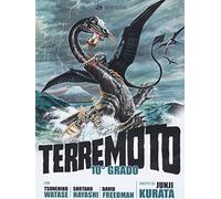 Terremoto 10 grado [Italia] [DVD]