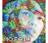 Terri Lyne Carrington - The Mosaic Project