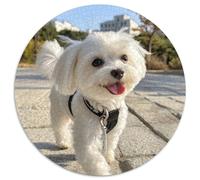 Terrier Blanco de West Highland Puzle Regalo Creativo Decoración del Hogar 1000 Piezas Perro Rompecabezas Juego De Habilidad para Adultos Y Niños A Partir De 14 Años 1000pcs (67.5x67.5cm)