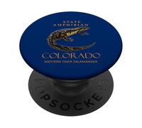 Territorio de Colorado Anfibio La Salamandra Tigre Occidental PopSockets PopGrip Adhesivo