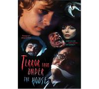 Terror from Under the House [Alemania] [DVD]