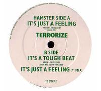 Terrorize - It's just a feeling [Vinyl Single]