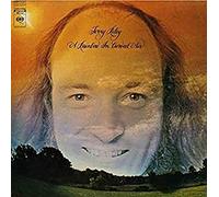 Terry: A Rainbow in Curved Air [Vinilo]