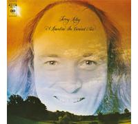 Terry Riley - A Rainbow In Curved Air (LP Yellow Coloured Vinyl) [Vinilo]