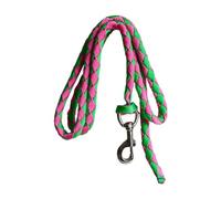Teruyol Rienda de Cuerda para Caballos con Mosquetón, Fabricada en PP de Alta Resistencia, Ideal para Equipos Ecuestres, Apta para El Entrenamiento D, 2.5 Metros Verde Rosa