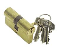 Tesa Cilindro estándar 50303040L TE5 Leva larga Llave - Llave Latonado 30 x 40 mm