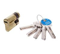 Tesa Assa Abloy T6554010L Cilindro De Seguridad Estándar T60 Latonado 40 x 10 mm Medio Cilindro Llave Leva Larga