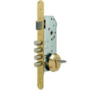 TESA R10BR566E Cerradura Monopunto de Embutir, Latonada, Cilindro 30 x 30 mm, Entrada 50 mm, 4 Bulones