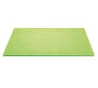 Tescoma Tappetino salvafreschezza per frigorifero Alfombrilla de refrigeración para frigorífico, Verde, 47x30 cm