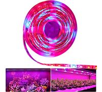Tesfish LED planta crecer tira luz DC 12V IP65 impermeable espectro completo SMD 5050 rojo azul 5: 1 cuerda luz para acuario Invernadero plantas