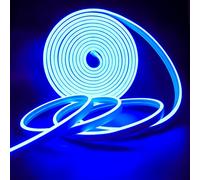 Tesfish Tira de luz LED de Neón, Tiras de Luces DC 12V 5M 120 LEDs/M Total 600 LEDs Color Azul Luz de IP65 Flexible para Dormitorio, Bar, Sala de juegos, Cumpleaños, Fiesta de Navidad