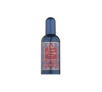 Tesori d'Oriente - Para hombre, fragancia aromática, ébano y ginseng, aroma fresco y amaderado, 100 ml