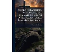 Tesoro De Paciencia, O, Consuelo Del Alma Atribulada En La MeditaciÃ3n De Las Penas Del Salvador...