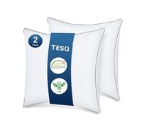 TESQ - Almohada de 60 x 60 cm, Juego de 2, Calidad hotelera de Lujo, Juego de 2 Almohadas cómodas, Transpirables, hipoalergénicas, con Certificado Oeko-Tex, Apto para Todas Las Posiciones de sueño