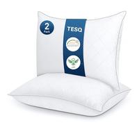 TESQ - Almohadas de 50 x 70 cm, juego de 2, cómodas y suaves, lujosas calidad de hotel, transpirables y duraderas, elección ideal para todas las posiciones de sueño