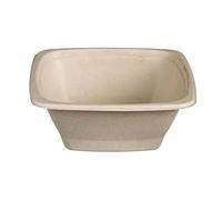 Tessera Bio Products QSB1000 - Ensaladera cuadrada de caña de azúcar, color beige, capacidad de 1000 ml, 75 unidades