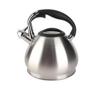 Tetera con silbido de acero inoxidable 304 de gran capacidad de calentamiento rápido con mango ergonómico para oficina en casa (tal vez)