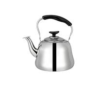 Tetera de acero inoxidable de 2 L, 3 L, 4 L, 5 L, 6 L, 7 L, 8 L, 9 L, 10 L, tetera de acero inoxidable para el hogar y la cocina, apta para todos los tipos de fuegos/estufas, café esencial para la