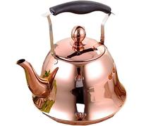 Tetera de Cocina con Silbato y Mango antiescaldaduras para Cocina de Gas de inducción.