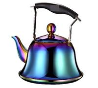Tetera de Cocina con Silbato y Mango antiescaldaduras para Cocina de Gas de inducción.