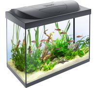 Tetra Starter Line LED 80L Acuario de inicio grande, bombilla LED con modo luz diurna/nocturna