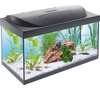 Tetra Starter Line LED Acuario 54 L - Juego completo que incluye iluminación LED, un acuario estable para principiantes con tecnología, alimentos y productos de cuidado, negro
