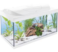 Tetra Starter Line LED Acuario de Inicio Blanco, 54 L | Bombilla LED con modo luz diurna/nocturna