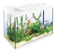 Tetra Starter Line LED 80L Acuario de Inicio Blanco, Bombilla LED con Modo luz Diurna/Nocturna