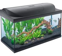 Tetra Starter Line LED Acuario de Inicio Grande, 105L | Bombilla LED con modo luz diurna/nocturna