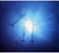 Tetsuya Komuro - Blue Fantasy:Love & Chill Out