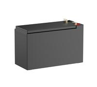 Teufel ROCKSTER AIR 1 Battery